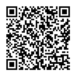 你这种把食物变成大粪的人有什么资格指责我这种把食物变成肥肉的人二维码生成