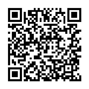 你连林蟒是半瞎和聋子这种最基本的知识都不懂二维码生成