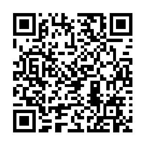 你那副瞅着本王的脸差点儿没流口水的样子实在太深入人心了二维码生成