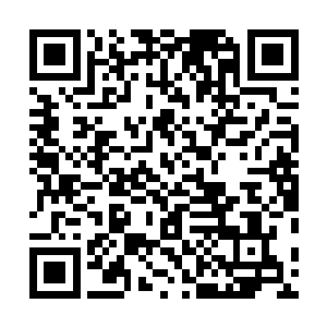 你都不知道太尉府来找麻烦的事情还在这里苦恼个什么劲二维码生成
