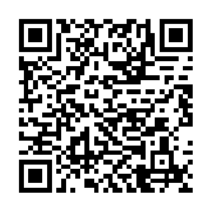 你都不知道这几天我们在沃尔曼那里吃的是什么伙食二维码生成