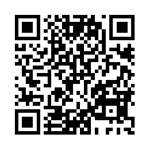 你都会面朝着被轰炸的城市跪拜祈祷二维码生成