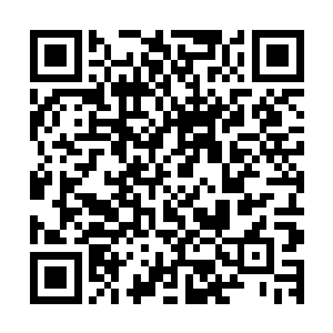 你都必须要努力的完成副本任务――这是关系到你自己的生死二维码生成