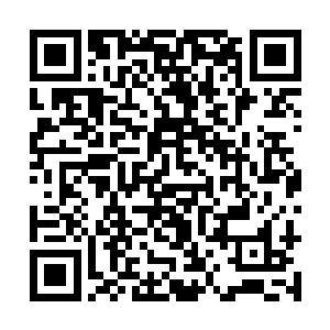 你阅读了古墓派棺材内壁上镌刻的s级功法九阴真经二维码生成