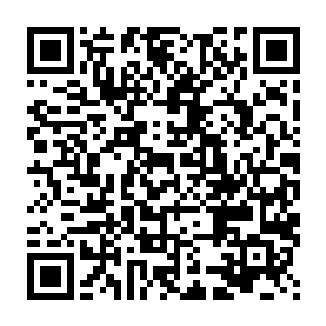 你随时随地可以对当地海洋协会分部做出的决定行使自己的否决权二维码生成