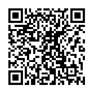 你难道不知道你自己如今在苍茫大陆上已经是风云人物了二维码生成