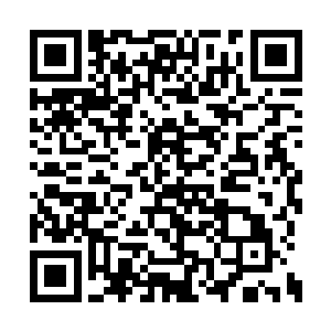 你难道就不想想为什么他们两个会对你提出斗医二维码生成