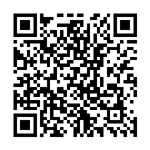 你难道是真的想要靠你一个人的力量抗衡我们整个仙之殿吗二维码生成