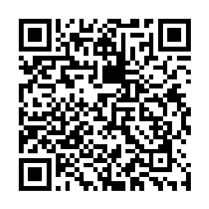 你难道是认为自己真的有那个本事对抗我们整个仙之殿了吗二维码生成