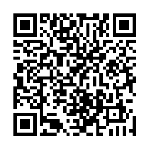 佩佩发现山努亚灰白色的体表渐渐呈现出一块块瑰丽的红斑二维码生成