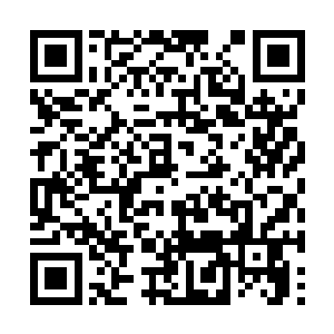 佩内洛普的表情中混杂着淡淡的妒忌与浓浓的艳羡二维码生成