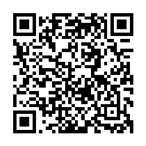 佩帕的缺席也引来了观众们的喟叹声――和他们一贯的做法比二维码生成