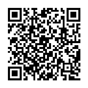 佴倾璃和佴清妃两姐妹很快也出现在了窗口那里二维码生成