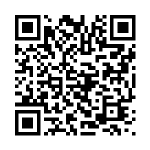 使不远处的景物都有一些模糊起来二维码生成