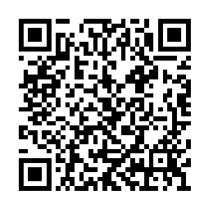 使人一看便知是那种以力量神通见长的大力海魔二维码生成