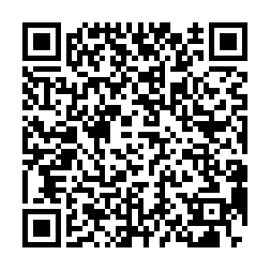 使她从一个差不多快被人遗忘的公主成了南耀国如今最尊贵的公主二维码生成