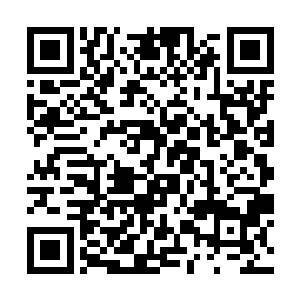 使她看起来宛如一朵含苞待放的青色巨莲中央的莲心二维码生成