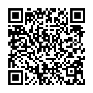 使得一朵朵看似美丽的花瓣比食人的猛兽都恐怖二维码生成