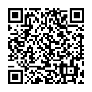 使得他这个行动的指挥官势必将会受到上面的问责和调查二维码生成
