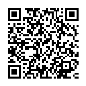使得几乎所有有哪怕是一点点背景的人都知道抱丹境强者的恐怖二维码生成