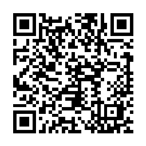 使得本届猎海大战的争夺有可能会变成有史以来最为激烈的争斗二维码生成