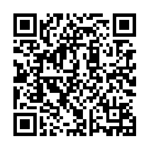 使得江少游那原本消耗了很多的电浆能量又为之壮大了一分二维码生成