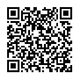 使得羊羽天就是第五殿殿主的身份一点一点的坐实二维码生成