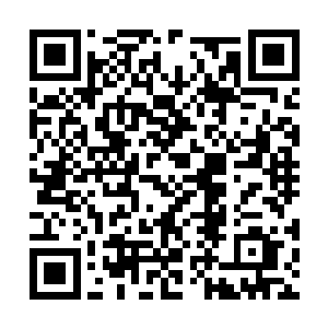 使得这里看起来竟好像从未发生过什么战斗的样子二维码生成