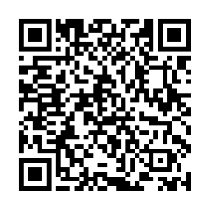 使得那些已经退得足够远的仙尊境强者都是难以承受二维码生成