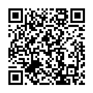 使旗阵内的四种魔风更加狂暴的罩定了那元婴和紫竹笔法宝二维码生成