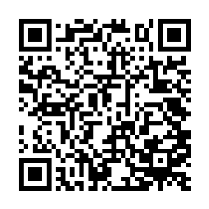 侍卫们甚至可以一个个的用肉身去阻挡敌人的利剑二维码生成