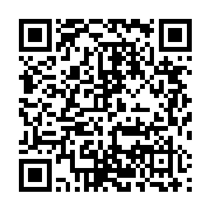 侍晚四人本来已经安排妥当两人一波轮班给谢芳华守夜二维码生成