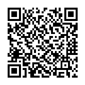 依仗着一个山河谱和两个大乘期修士玩起了消耗战二维码生成