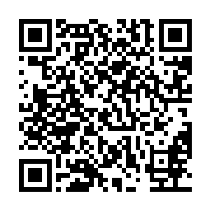 依依的身体淡薄的已经可以看清楚对面站着的陈景皓了二维码生成