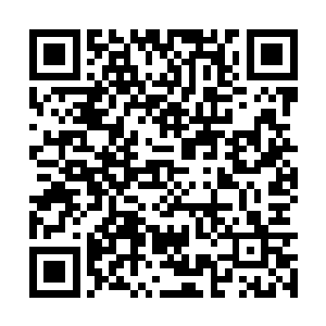 依我看那些实力的目的十有八九都是为了收服林灵二维码生成