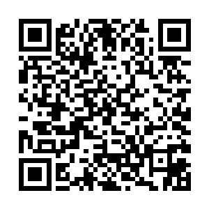 依旧在控制着体内的龙之血脉朝着筋脉之中运转过去二维码生成