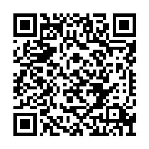 依然伸出雪白的小手从我的衣领上扯下一个标签二维码生成