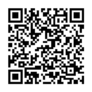 依然能看到淳王府门口那个静静站立着的白衣身影二维码生成