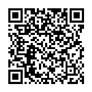 依靠在墙头发懵的斯塔恩看向转身离开的赵虎背影感到一阵发怵二维码生成