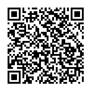 依靠着建筑物的阻挡让罗楼不至于变得和外面那些死去的丧尸一样成为血雨二维码生成
