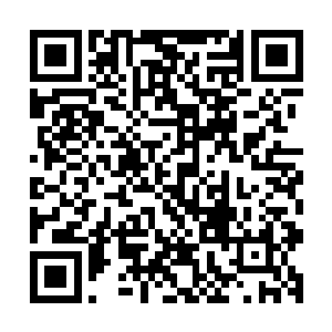 侯卫东拿出了一本由秘书杜兵从岭西省图书馆里找出来的老书二维码生成