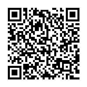 侯卫东摸出沙州学院的毕业证和参加益杨县党政考试的分数单二维码生成