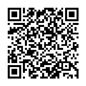 侯场准备中的雪玲珑正透过窗户缝隙间看着这一幕二维码生成