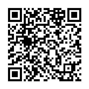 侯如海做了多年的知府幕僚怎么可能会不知道老百姓的本性二维码生成