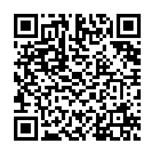 侯爵功法大地5变的实力要强于大地功法1变的实力二维码生成