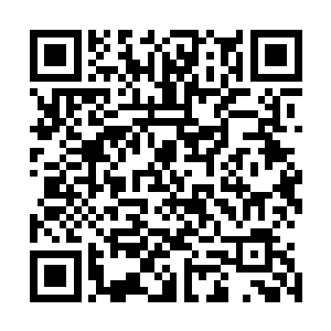 侯爷和世子那里似乎也知道了是二皇子派人将小小姐抓走的二维码生成