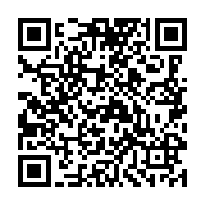 便不能想到――不管是谁将这些低语树精栽种在这里二维码生成