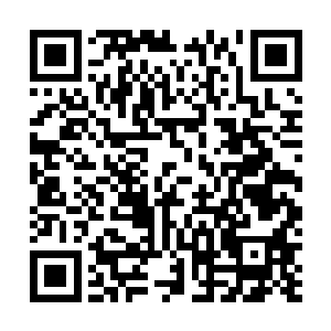 便与那正北方的葵水真元丹隐隐产生某种莫名微妙的联系二维码生成