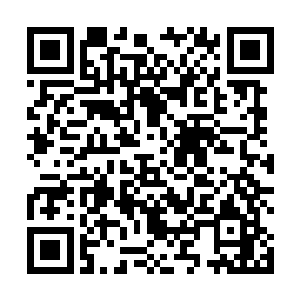 便从猎海联盟和四大宗派的手里拿到了鳄蛟岛的控制权二维码生成