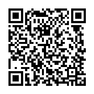 便会把他们贩卖来这海界线像这翠竹岛一般的岛屿之上为奴二维码生成
